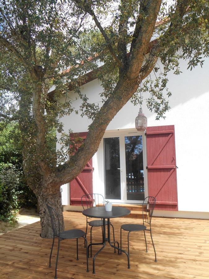 Maysoe Chambres D'Hotes Vieux-Boucau-les-Bains Dış mekan fotoğraf