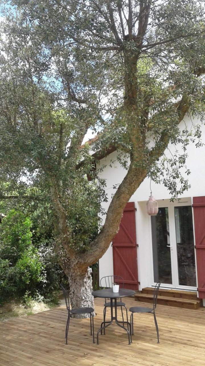 Maysoe Chambres D'Hotes Vieux-Boucau-les-Bains Dış mekan fotoğraf